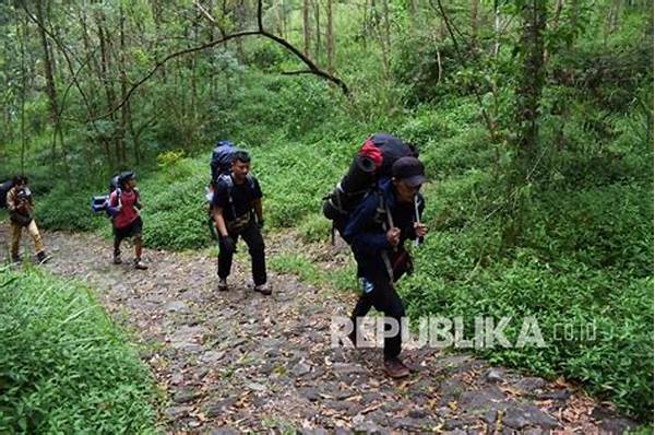 Teknik Navigasi Saat Mendaki Sendirian