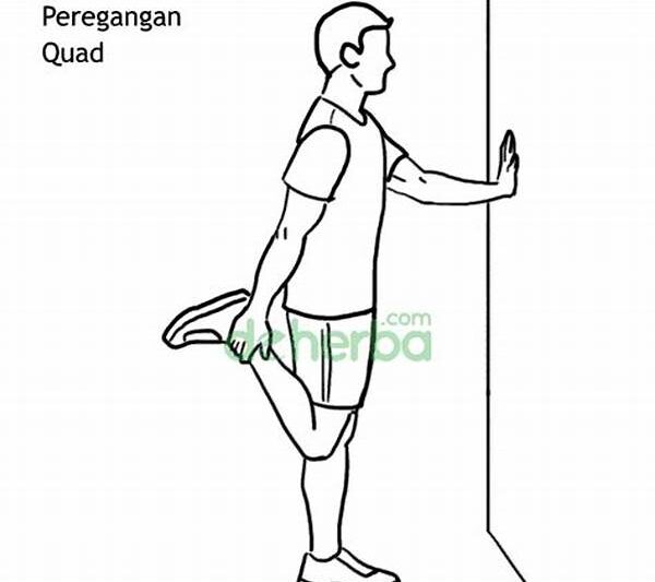 Peregangan Otot Yang Aman Untuk Pemula
