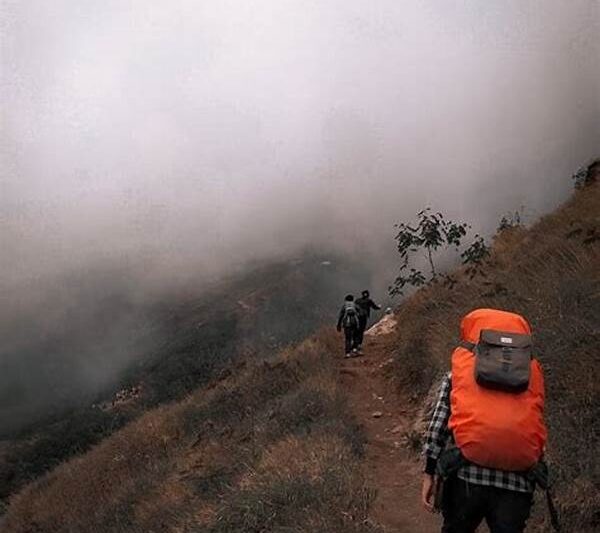 Latihan Kekuatan Untuk Pendaki Pemula