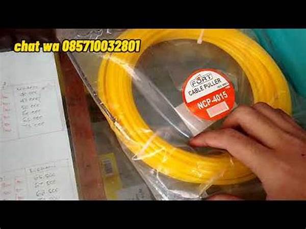 Solusi Aman Pemasangan Kabel Fanny