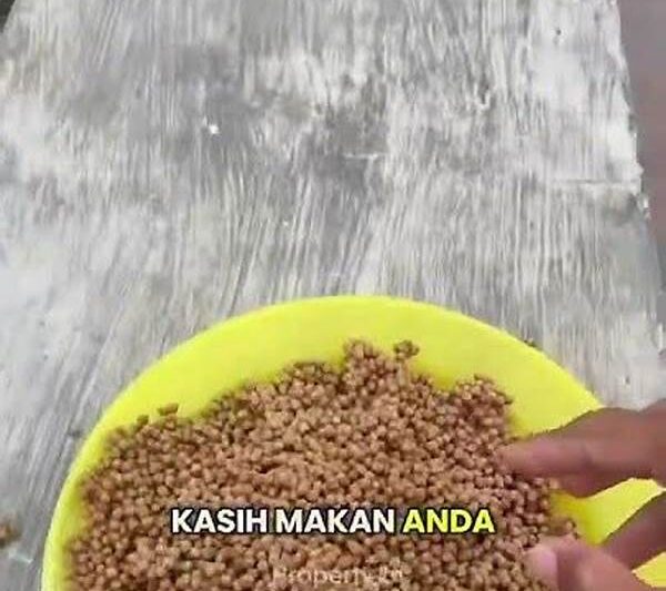 Tips Menghindari Kematian Fanny