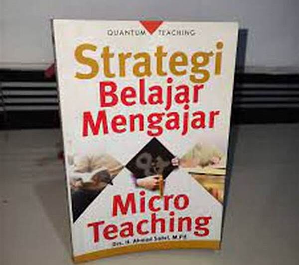 Strategi Belajar Micro Fanny
