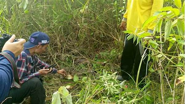 Konservasi Alam Sebagai Solusi Konflik